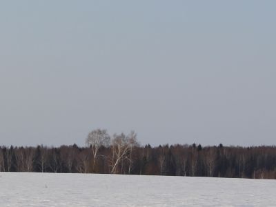Священная роща