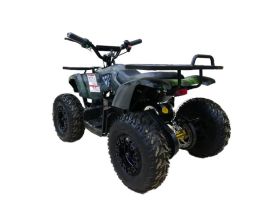 Электроквадроцикл MOTAX Grizlik X16 New E1000 Big Wheel