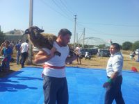 Добровский сельский дом культуры