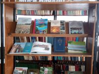 Бурлинская библиотека