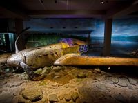 Музей техники Вадима Задорожного