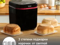Хлебопечка Moulinex Pain & Plaisir OW220830