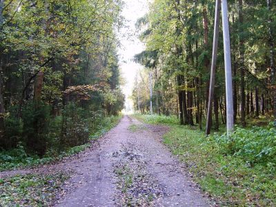 Парк, конец XVIII в.