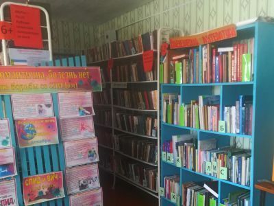 Усть-Хойзинская сельская библиотека