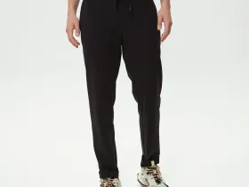 Мужские спортивные брюки Lacoste зауженного кроя