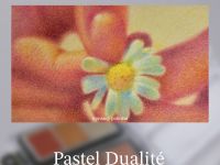 Набор пастели прессованной nuance. Pastel Dualit?, Le Silence (тишина), 15 цв