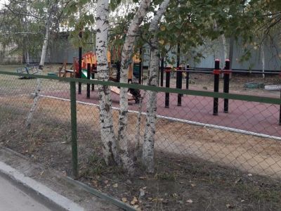 После жалобы горожанина площадку в Якутске привели в надлежащий вид