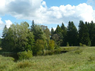 Усадебный парк