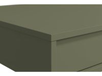 Письменный стол Эрлин-1 120x60 Оливковый