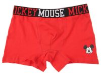 Трусы с принтом Disney для мальчика, 2 шт. в комплекте
