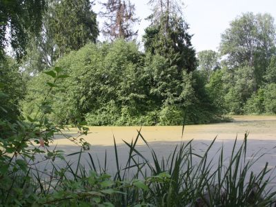 Усадьба Левенгагена. Парк