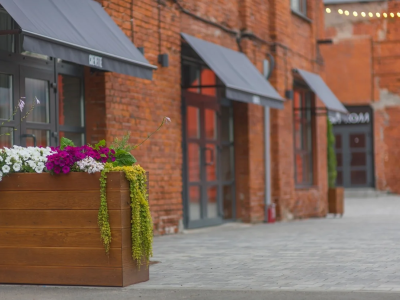 Билеты на Очки Канта (Брусницын) / Выставка | Афиша | ИнфоТаймс