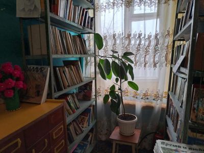 Становская сельская библиотека – филиал № 18