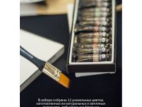 Набор акварели Гамма "Старый Мастер" "Натуральные земли и минералы", 12 цв*9 мл, туба, картон. короб