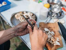 Фоторепортаж с фестиваля-конкурса «Полевая кухня» в Якутске