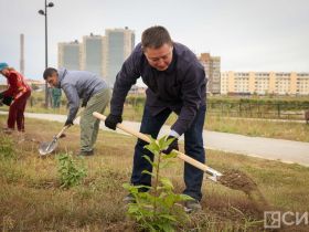 В День окончания Второй мировой войны в Якутске высадили 80 кустов сирени