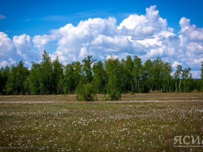 Потерявшийся в Чурапчинском районе Якутии мужчина найден