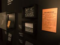 Музей-заповедник «Владивостокская крепость»