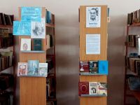 Большепикинская библиотека