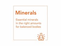 NOW Foods, магний и кальций, 100 таблеток