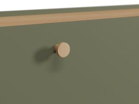 ТВ-тумба Торвалль 160x61 Оливковый