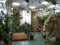 Центральная городская библиотека имени М. К. Анисимковой