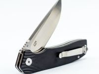 Складной нож Bestech Lion, Черный