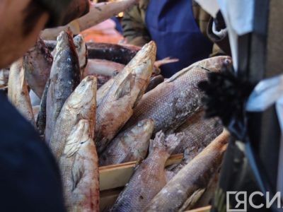 На ярмарке «Рыба Якутии» реализовали более 20 тонн продукции