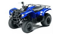 Квадроцикл GRIZZLY 125