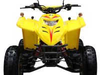 Квадроцикл ADLY 100