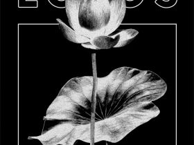 Футболка жен. МОДЕЛЬ 51 Черный/Lotos