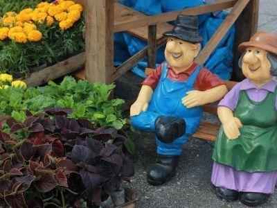 Рассада, саженцы и куры-несушки: В Якутске открылась выставка-ярмарка «Дом. Огород. Усадьба»