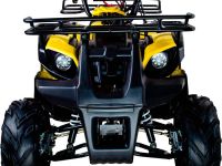 Квадроцикл AVANTIS Hunter 7 LITE