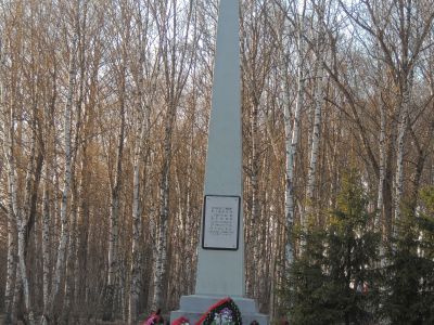 Братская могила воинов Советской Армии, погибших в период Великой Отечественной войны. Могила Героя Советского Союза Оплеснина Н.В. (1914-1942 гг.)