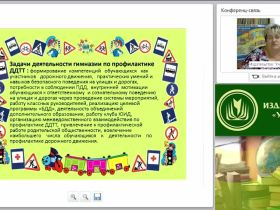 Организация работы по профилактике детского дорожно-транспортного травматизма (в условиях реализации ФГОС)