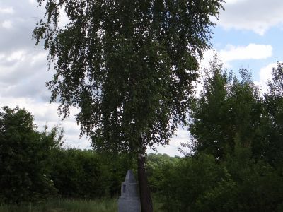 Могила неизвестного советского воина, погибшего в боях с фашистскими захватчиками в 1943 г. Обелиск