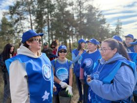 Якутяне высадили 600 сосен для геоглифа «Победа-80»