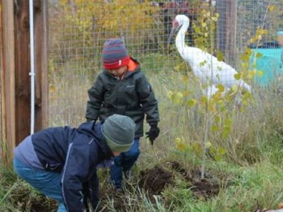 День журавля отметили в зоопарке «Орто Дойду»