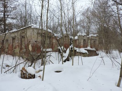 Усадьба "Волхонка": - главный дом