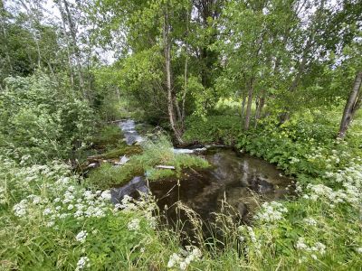 Ручей Забородский (Забродский), (основания берегоукреплений)