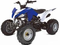 Квадроцикл ABM Scorpion 250