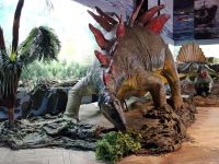 Музей природы Бурятии