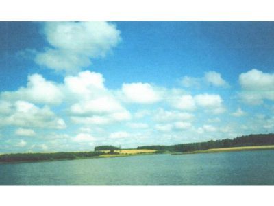 Священная роща