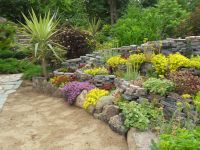 Амурский городской дендрарий