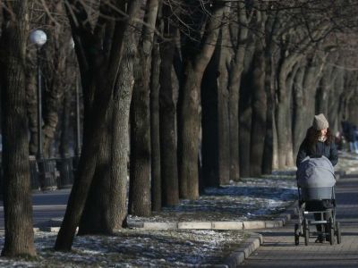 В России могут разрешить выдавать наличными до 5% маткапитала