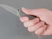 Складной нож Leek - Kershaw 1660CB (composite blade), сталь D2/Sandvik™ 14C28N, рукоять нержавеющая сталь 410