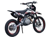 Питбайк REGULMOTO Seven Medalist 19/16