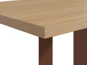 Письменный стол Стэйс 120x60 Терракотовый