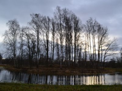 Зверинец. Сохранившаяся историческая планировка с водной системой и старовозрастными деревьями