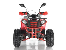 Квадроцикл RAPTOR Madman 200